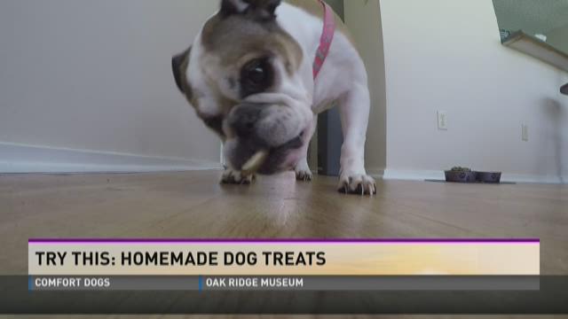 homemade dog treats for english bulldogs