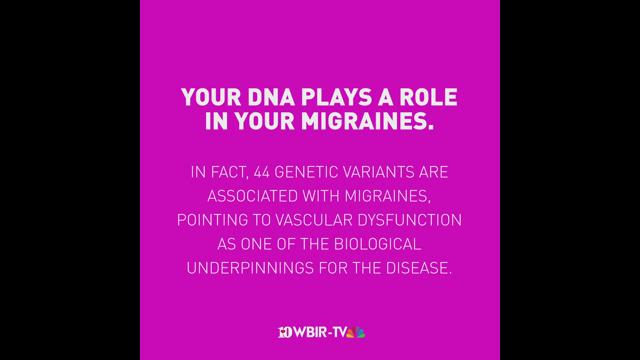 mosquitos love you hate cilantro own a dog your dna may tell you why wbir com