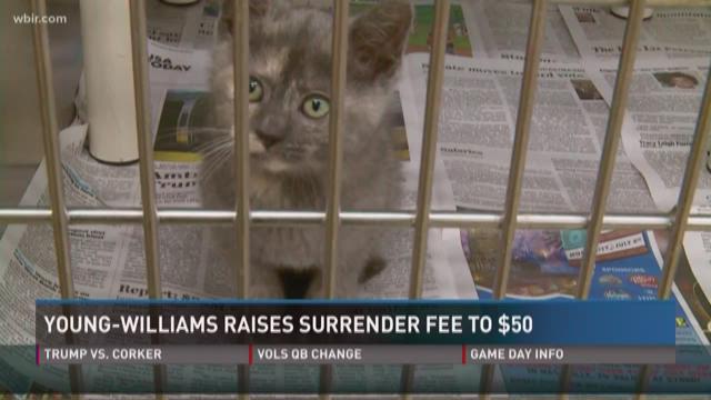 young-williams-increases-pet-surrender-fee-to-50-wbir